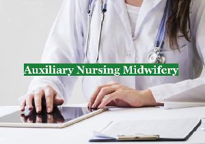 Auxiliary Nurse and Midwives (A.N.M.)